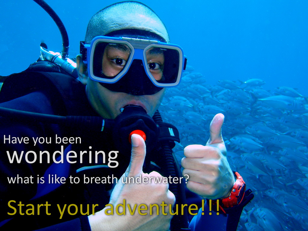 Anilao-discover-scuba-diving-for-beginners